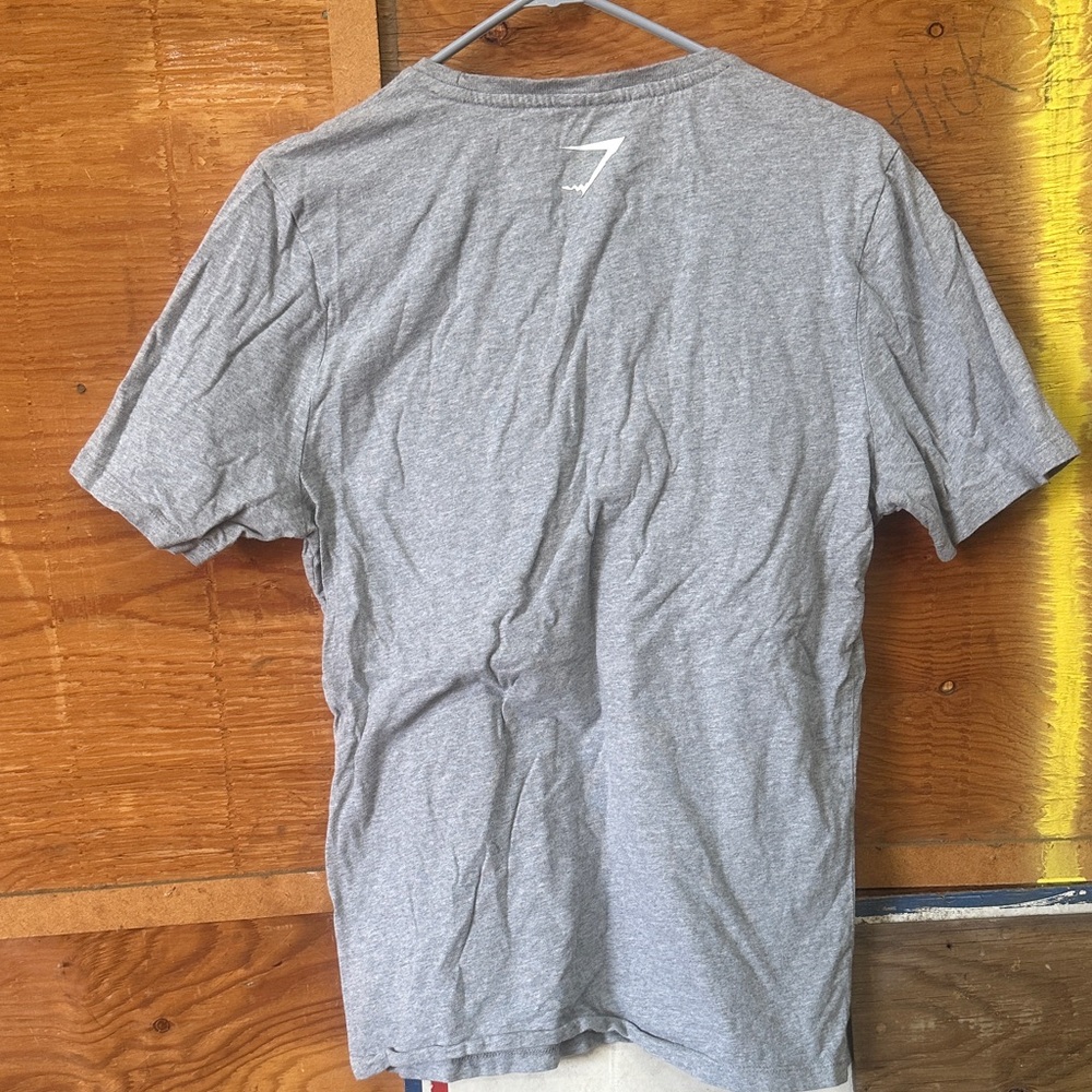 Gray Men's T-Shirt